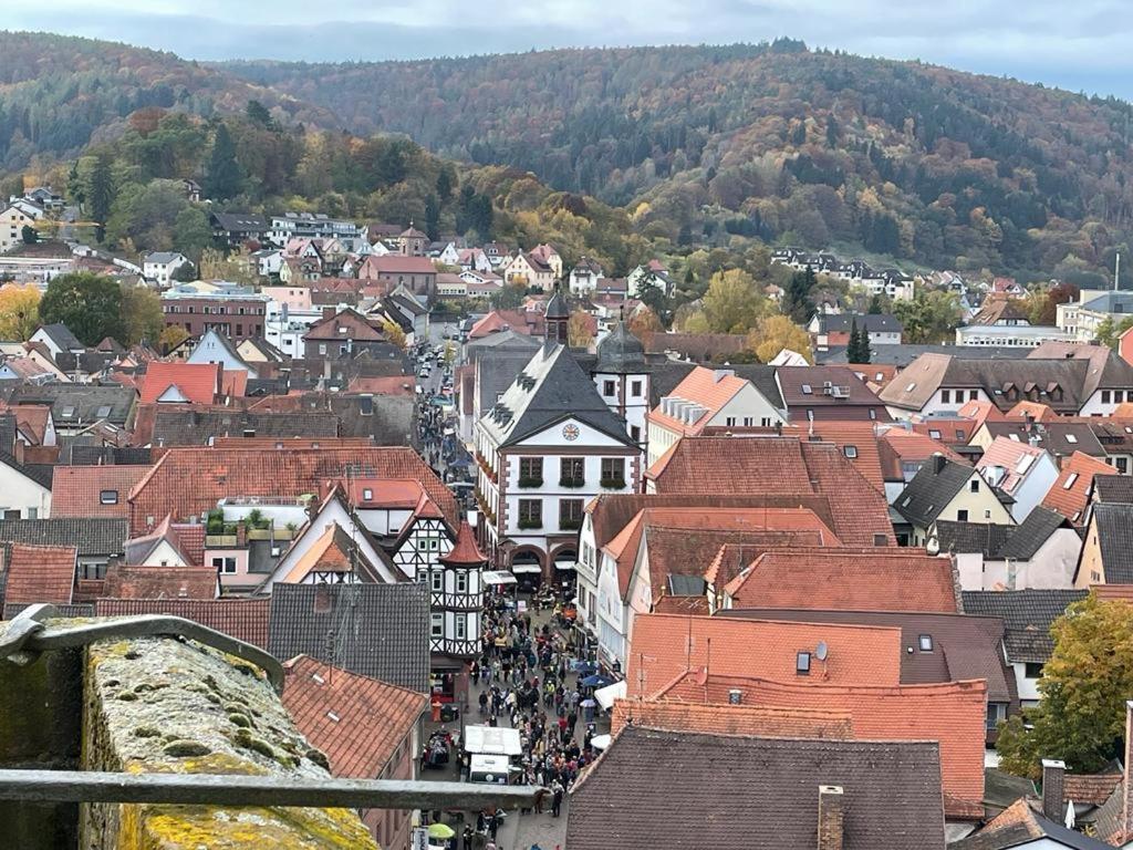 Lohr Wohnen Im Springerhof 아파트 외부 사진